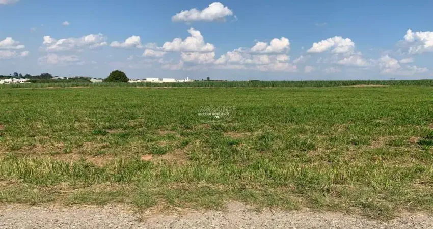 Terreno à venda, mato alto / sitio palmeiras, saltinho - - (código te00828)