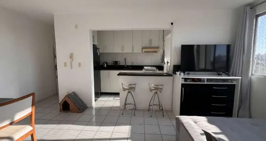 Apartamento com 2 quartos à venda na Rua Bom Pastor, 1457, Ipiranga, São José