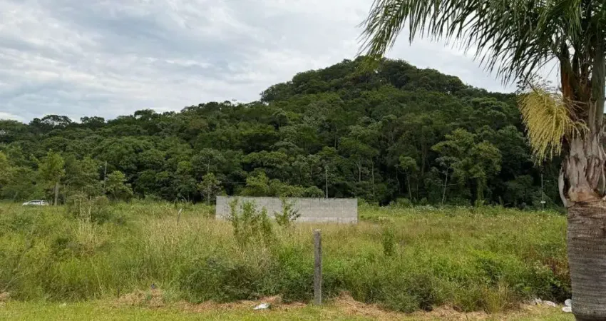 Terreno à venda na Avenida Luiz Gonçalves, 40, Mar das Pedras, Biguaçu