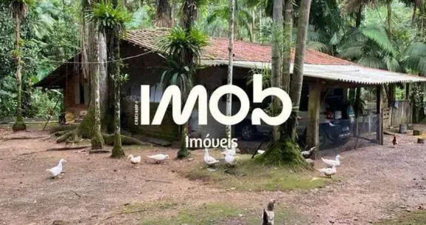 Chácara com 47.696 m² de área total, Amizade - Guaramirim