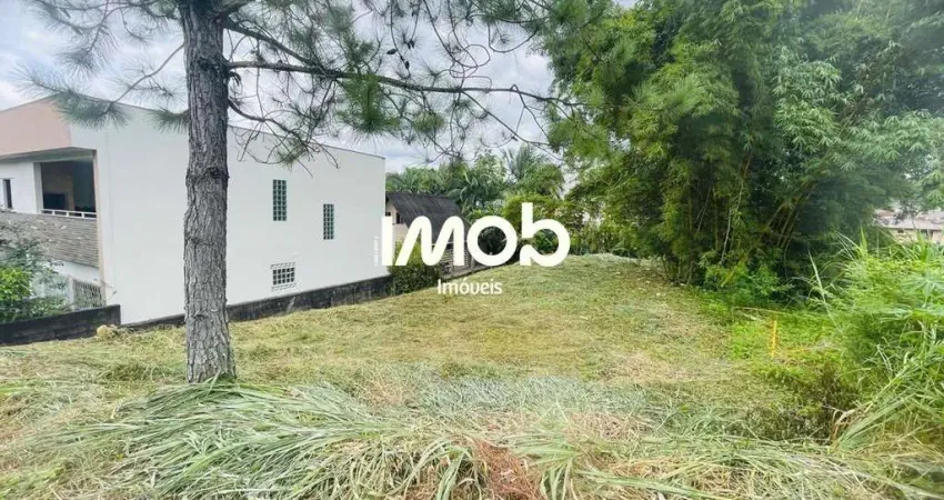 Terreno com 600 m² de área, bairro Tifa Martins