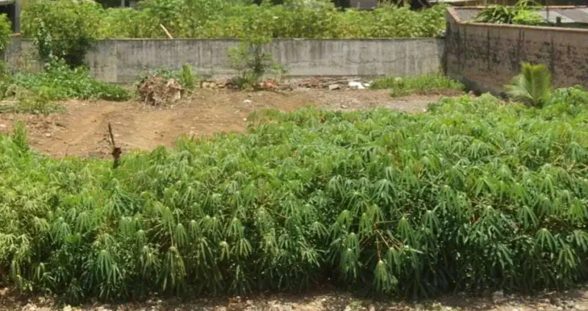 Terreno à venda na Barra do Rio Cerro, Jaraguá do Sul