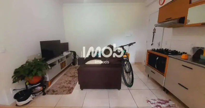 Apartamento com 2 dormitórios, ilha da figueira - jaraguá do sul