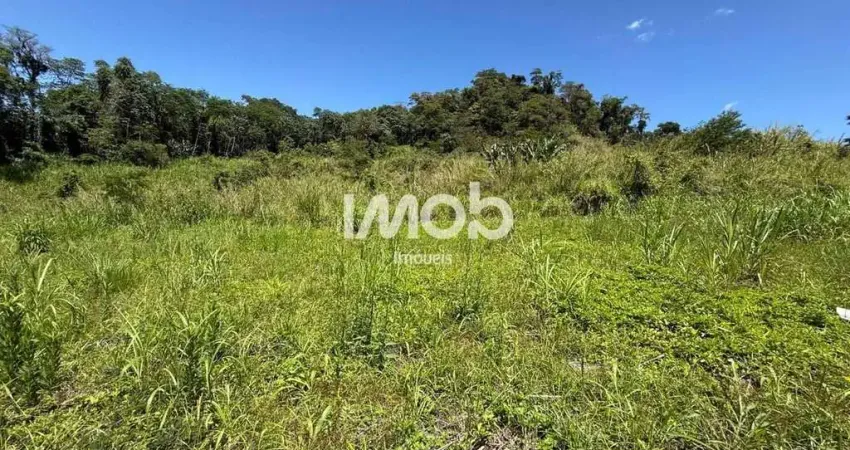 Terreno à venda no Chico de Paulo, Jaraguá do Sul 