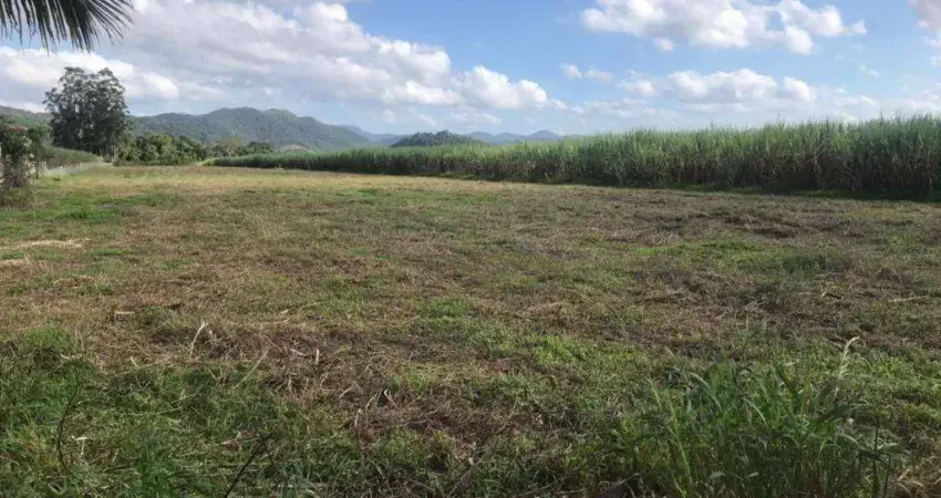 Terreno Rodovia Jorge Lacerda  (( 55.000 m² )) - Aluga ou Vende - Gaspar/SC