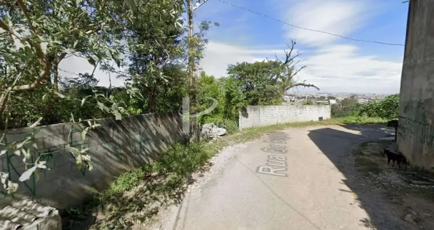 Terreno Comercial, 23.600 m2, para venda, Jardim Pêssego.