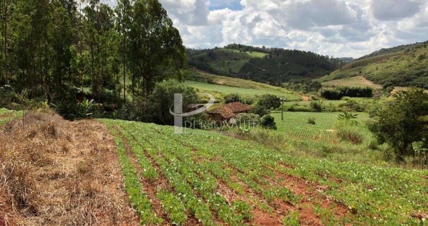Chácara / sítio à venda na BOM JARDIM, 68, Centro, Teixeiras