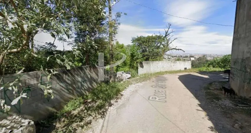 Terreno comercial à venda na Rua Go Sugaya, Colônia (Zona Leste), São Paulo