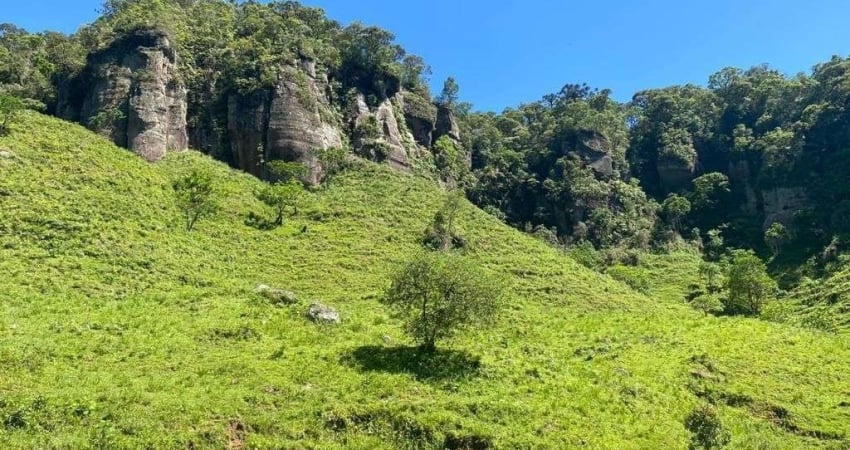 Fazenda à venda na Estrada geral 2 irmãos, 1, Zona Rural, Bocaína do Sul