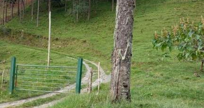 Terreno à venda na estrada geral baiano, 4, Baiano, Urubici