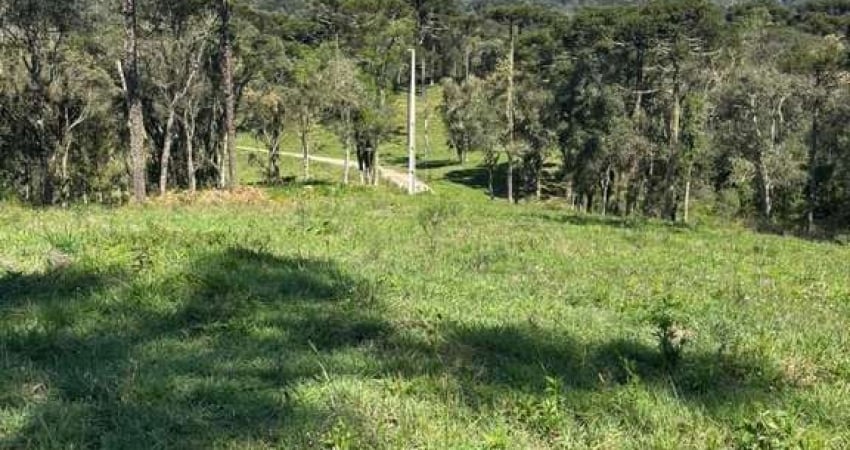 Área de 6,5 hc localizada em Santa Tereza, a apenas 10 km do centro de Urubici.