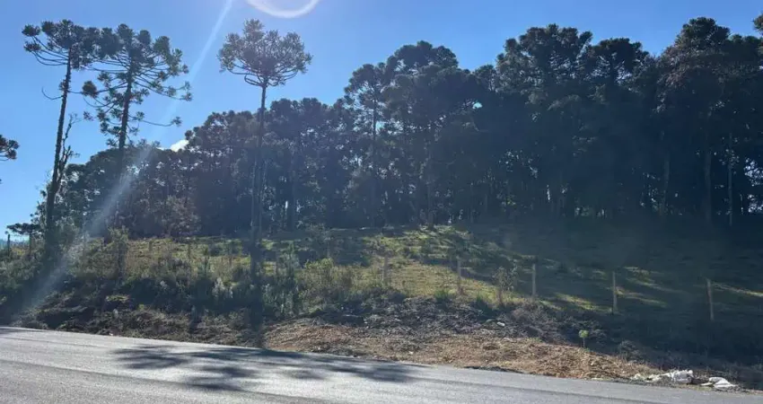 Oportunidade Única! Área de 6,5 Hectares com Potencial Múltiplo em Urubici - SC