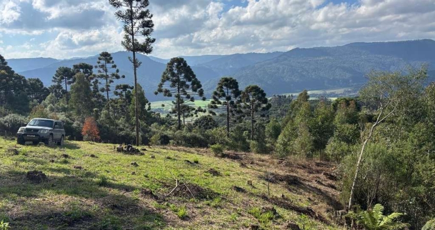 Chácara com 2 hectares em localização privilegiada – Santa Tereza, Urubici/SC