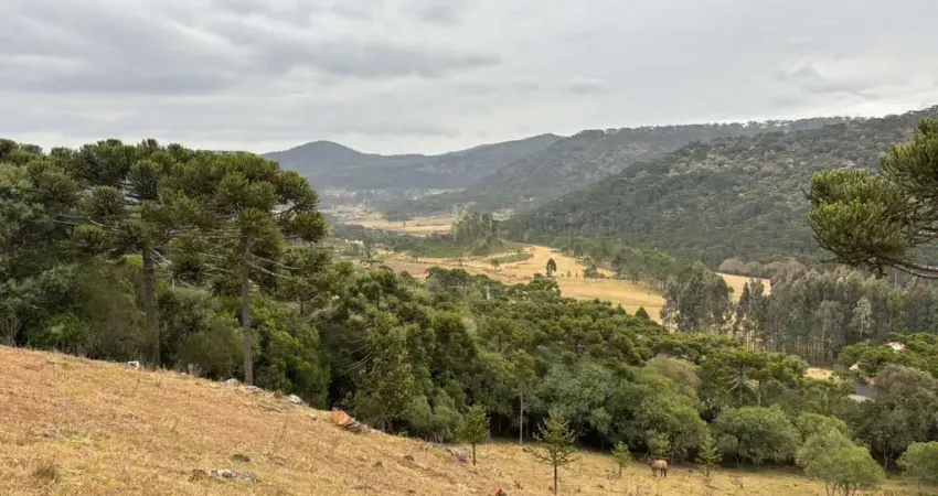 Área com 20.000 m² à Venda – Terreno em Vacas Gordas, Urubici/SC