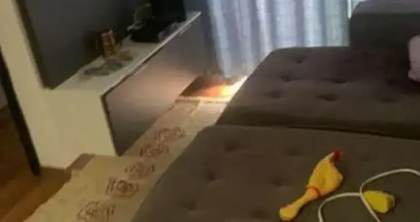 Apartamento para venda em são paulo, jardim belem, 2 dormitórios, 1 banheiro, 1 vaga