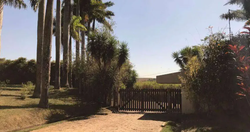 Chácara / sítio com 3 quartos à venda na Avenida Luiz Carlos Brugnerotto, 20, Cardeal, Elias Fausto