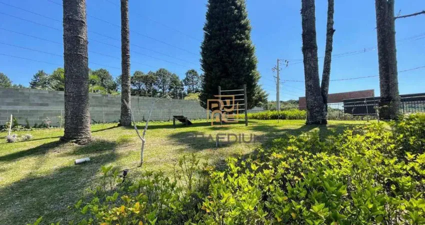 Terreno à venda, 191 m² por R$ 449.000,00 - Santa Cândida - Curitiba/PR