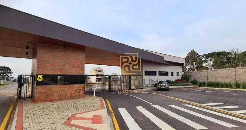 Terreno à venda, 245 m² por R$ 238.000 - Costeira - São José dos Pinhais/PR