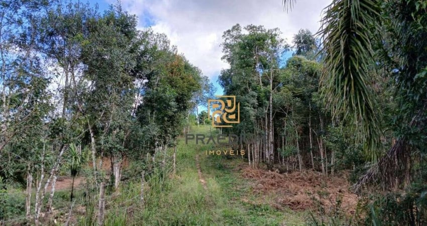 Chácara com 1 dormitório à venda, 7000 m² por R$ 105.000,00 - Palmital - Bocaiúva do Sul/PR