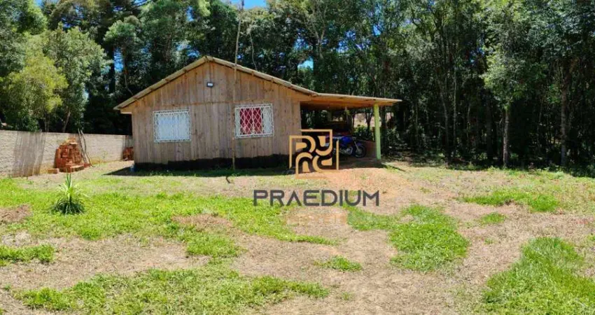 Chácara com 2 dormitórios à venda, 3200 m² por R$ 360.000,00 - Contenda - São José dos Pinhais/PR
