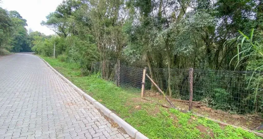 Terreno à venda, 1320 m² por R$ 310.000,00 - Centro - Ivoti/RS