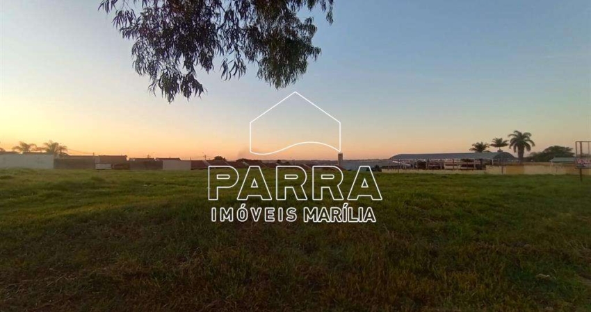 Terreno à venda no Jardim Cavallari, Marília 