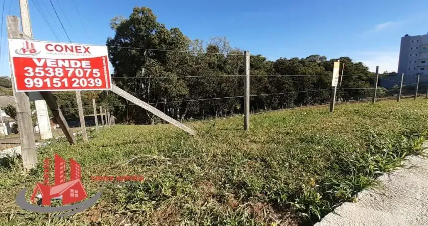 Terreno à venda na Rua Honeyde Bertussi, 01, Nossa Senhora da Saúde, Caxias do Sul