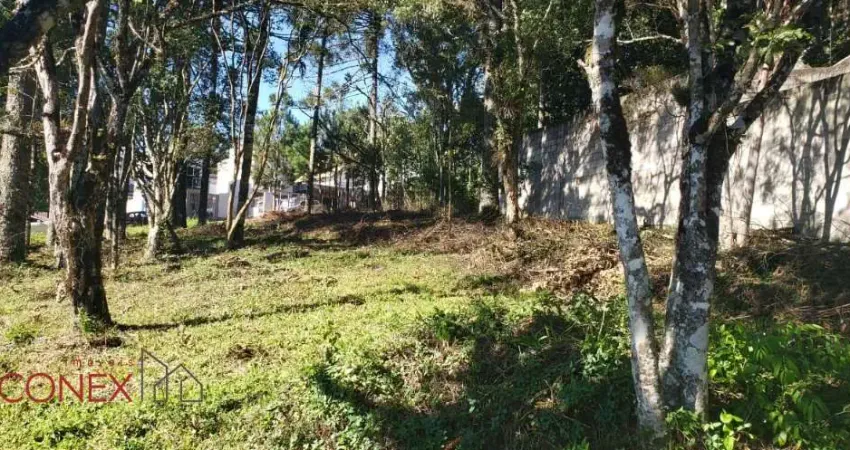 Terreno à venda na Rua Ruy José Bisol Filho, 17, Ana Rech, Caxias do Sul