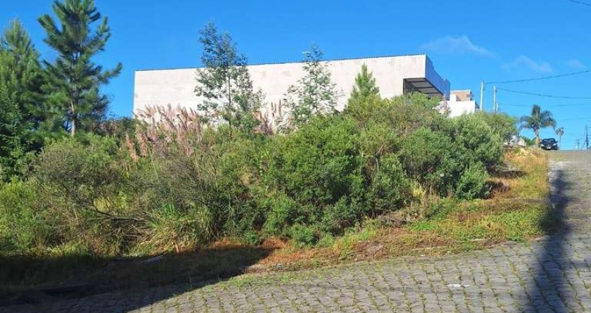 Terreno à venda na Estrada Municipal Benvenuto Toss, 851, São Luiz, Caxias do Sul
