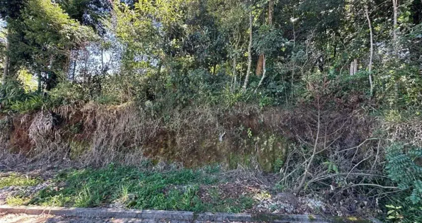 Terreno à venda no Monte Verde, Farroupilha 