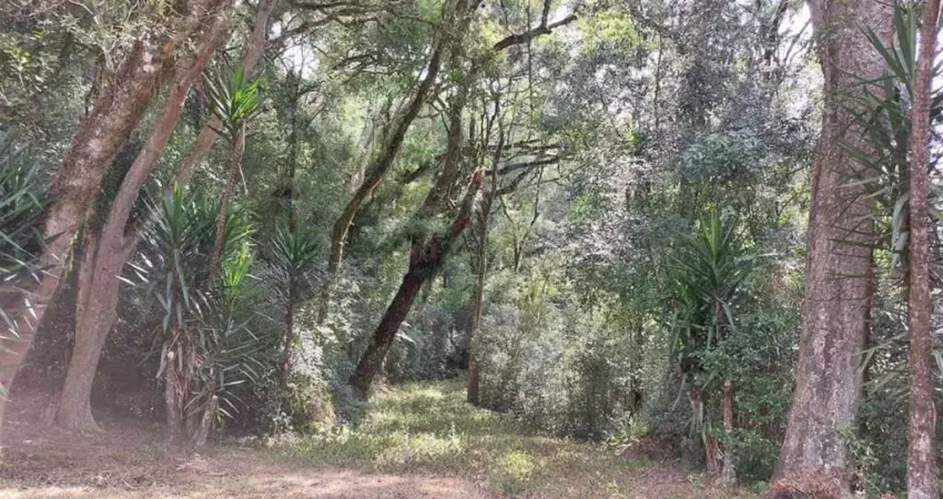 Chácara / sítio com 2 quartos à venda na Zona Rural, Caxias do Sul 