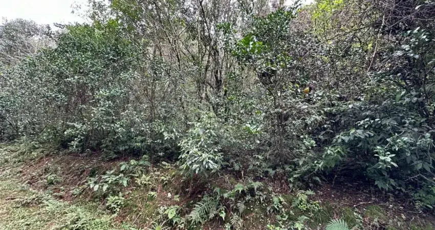 Chácara / sítio com 3 quartos à venda no Nova Sardenha (Distrito), Farroupilha 