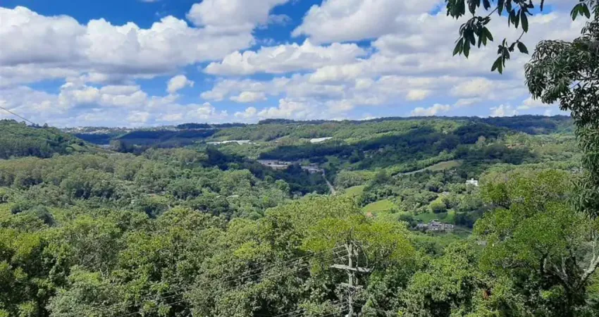 Chácara / sítio à venda no Linha 40, Caxias do Sul 