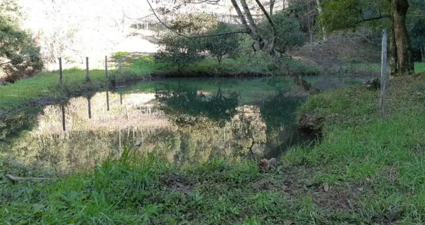 Chácara / sítio com 1 quarto à venda no Forqueta, Caxias do Sul 