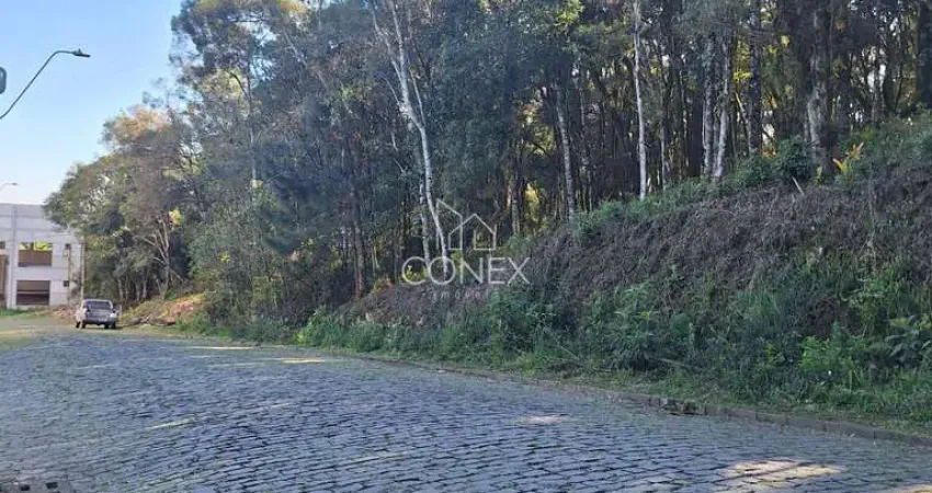 Terreno à venda na Ana Rech, Caxias do Sul 