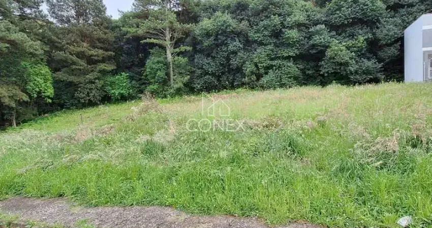 Terreno à venda no Vinhedos, Caxias do Sul