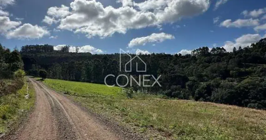 Area de terras em são vendelino na localidade de  linha general neto - barão. rs