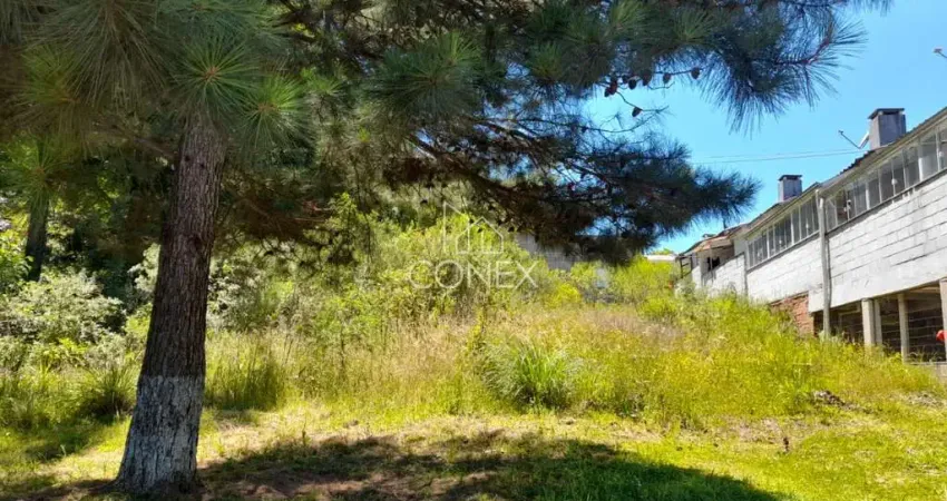 Terreno à venda no Monte Verde, Farroupilha