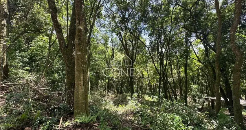 Terreno à venda na Zona Rural, Farroupilha 