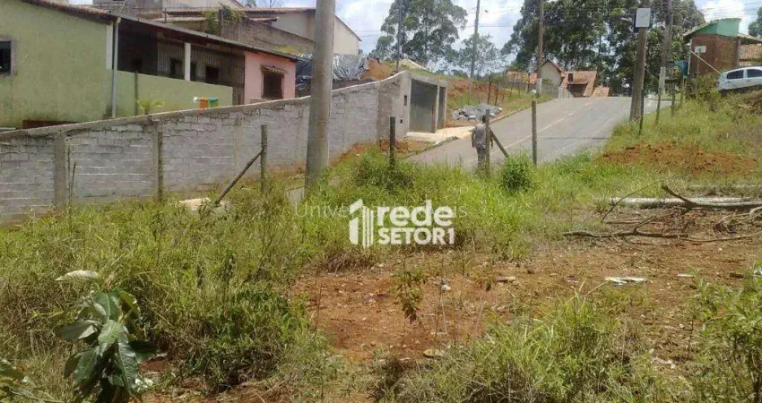 Terreno à venda, 1350 m² por R$ 450.000,00 - São Pedro - Juiz de Fora/MG