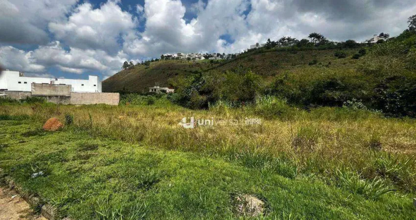 Terreno à venda, 329 m² por R$ 350.000,00 - Novo Horizonte - Juiz de Fora/MG