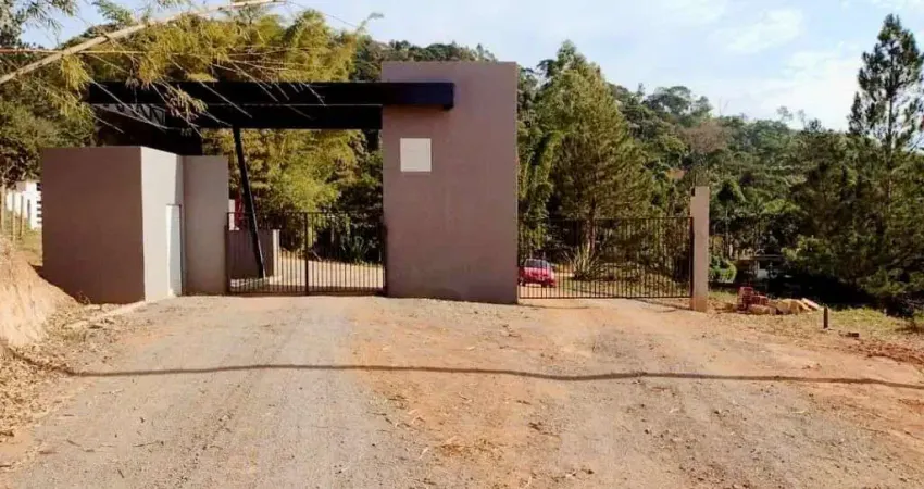Terreno à venda, 20000 m² por r$ 149.000,00 - santa cruz - juiz de fora/mg