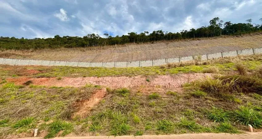 Terreno em condomínio fechado à venda no Vina Del Mar, Juiz de Fora