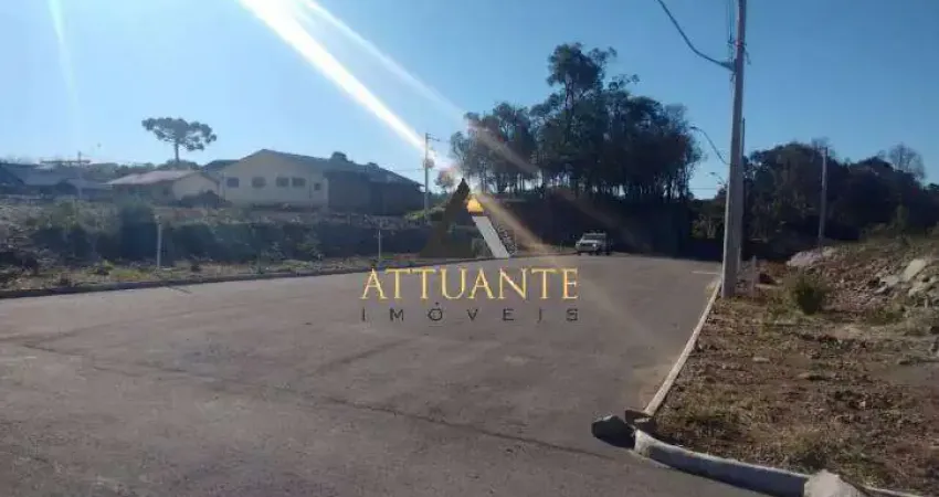 Terreno comercial à venda na Bela Vista, Caxias do Sul 
