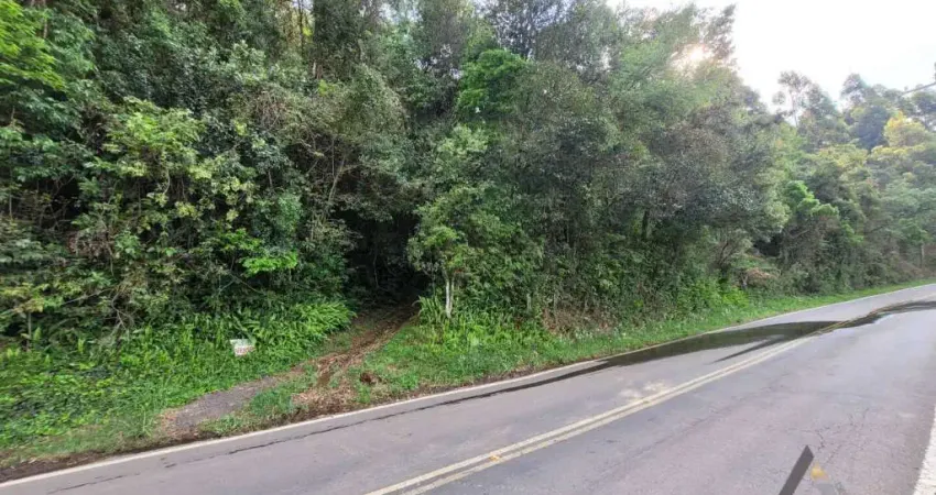Terreno à venda na Nossa Senhora da Saúde, Caxias do Sul 