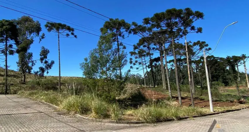 Terreno à venda na Ana Rech, Caxias do Sul 