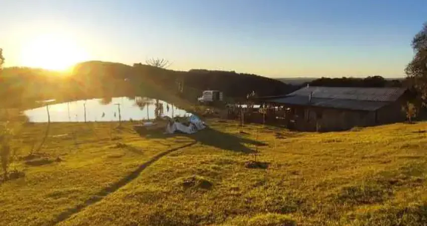 Chácara / sítio à venda na Zona Rural, Caxias do Sul 