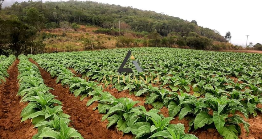 Chácara / sítio à venda na Zona Rural, Mariana Pimentel 