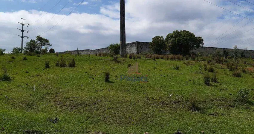 Terreno à venda, 9878 m² por R$ 1.700.000,00 - São Sebastião - Palhoça/SC