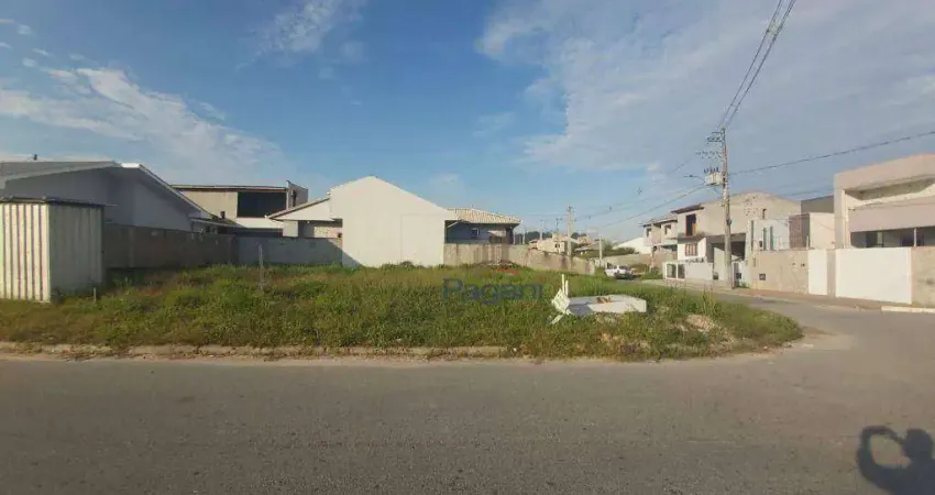 Terreno à venda, 295 m² por r$ 350.000,00 - caminho novo - palhoça/sc